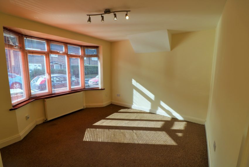 Optimized-IMG_2886 (2)